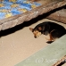 guide_nusalavu_h_0705_0049.jpg